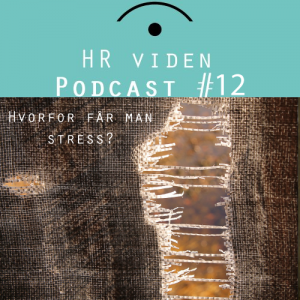 Hvorfor får man stress?